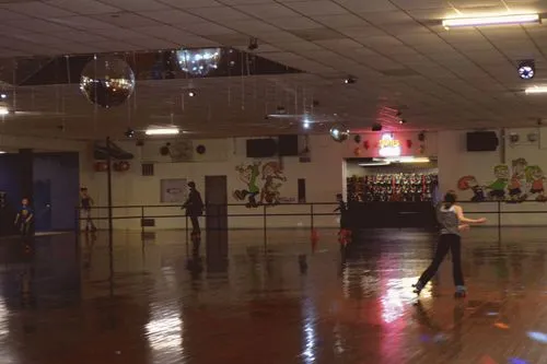 private small group parties skating in Holt, MI